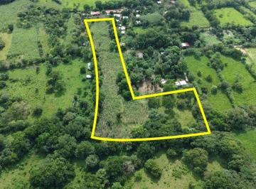 Finca , Dolega · Finca Plana en Venta de 23,000 m² en El Flor, Dolega, con Pozo y Quebrada
