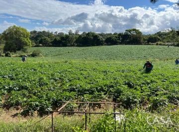Terreno / Lote , Boquete · Terreno de 6 Hectáreas Para Desarrollo en Venta en Bajo Boquete