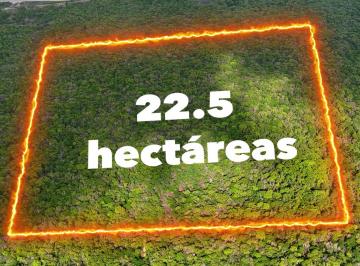Terreno / Lote , Umán · Trato Directo 22.5 Ha