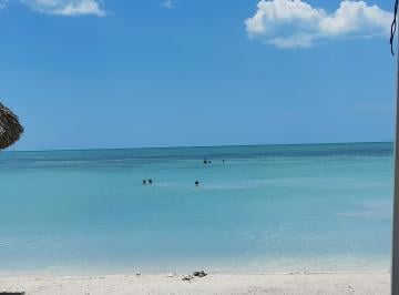 Departamento de 2 habitaciones, Tulum · Hermoso Depto Económico en Aldea Tulum