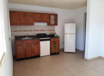 Departamento de 1 habitación, Ensenada · Renta Bonito Departamento 5 Mn Cicese y 15 Mn Ensenada