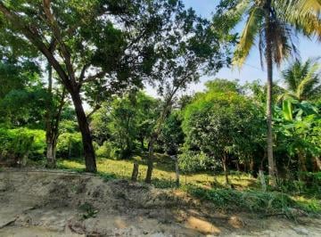 Terreno / Lote , Santa María Huatulco · Se Vende Terreno 16 X 24 Santa María Huatulco Oax