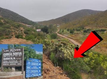 Terreno / Lote , Ensenada · Vendo Terreno en San Antonio de Las Minas Ruta Vino 2500 m Opcion 1 Hectarea