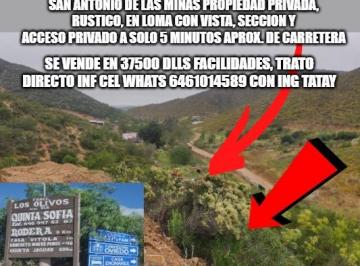Terreno / Lote , Ensenada · Vendo Terreno en San Antonio de Las Minas Ruta Vino 2500 m Opcion 1 Hectarea