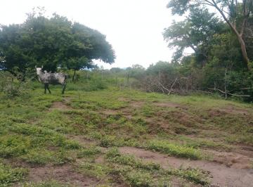 Terreno comercial de 1 habitación, Santiago Niltepec · Terreno Agropecuario Potencial Industrial