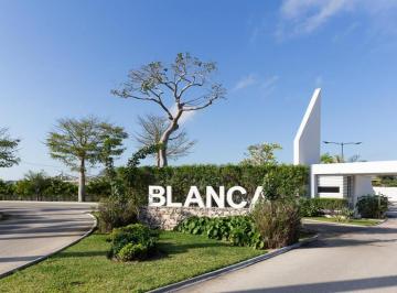 Terreno / Lote , Mérida · Venta Terreno, Fracc. Blanca Residencial, Mérida, Yucatán