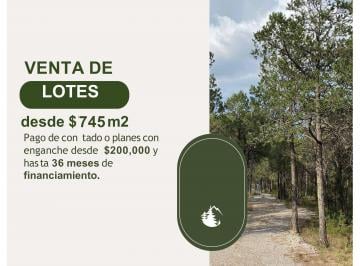Terreno / Lote , Arteaga · Bosques de Arteaga, El Diamante, Coahila