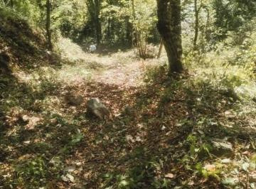 Terreno / Lote , Cuernavaca · Tu Terreno en El Bosque