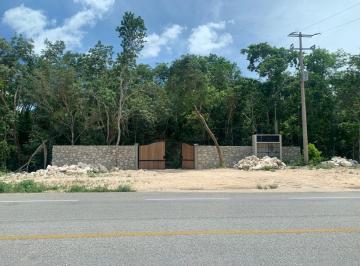 Terreno / Lote , Tulum · Oportunidad de Inversion Terreno Ecologico en Tulum