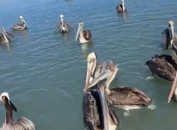 Terreno / Lote , La Paz · Cercano a Playa