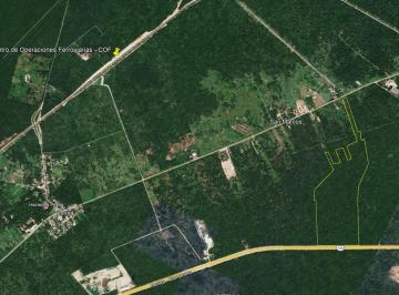 Terreno / Lote · 51ha - Esteban Ruiz · 51 Has Sobre Carretera Mérida - Campeche