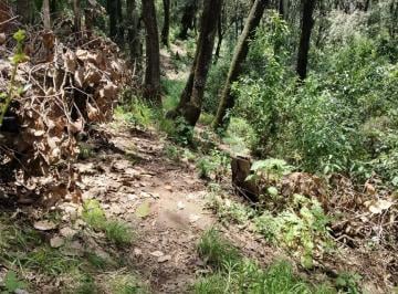 Terreno / Lote , Jilotzingo · Venta Terreno Jilotzingo (Los Laureles) Superficie: 1,200 m²
