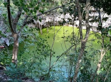 Terreno / Lote , Temozón · Vendo Hermoso Cenote Abierto de 48 m de Diametro