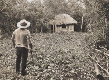 Terreno / Lote , Cozumel · Land For Sustainable Project - Dragon Fruit Orchard, Pearl Farm or Fish Farm