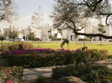 Casa en Renta de 3 habitaciones La Joya · Disfruta de La Tranquilidad y La Comodidad de Una Vivienda Céntrica