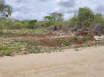 Terreno / Lote , Tixkokob · Lote de Inversión 363 m² en Zona Norte de Tixcokob – Liquidado y Listo