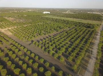 Terreno / Lote , Allende · Lotes Campestres en Venta con Financiamiento