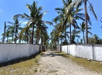 Rancho , Tunkás · Rancho Ganadero