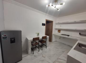 Departamento de 1 habitación, Saltillo · Departamento Ejecutivo