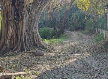 Terreno / Lote , Xalisco · Terreno Campestre, Ideal Para Casa de Campo️️