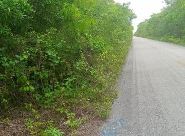 Terreno / Lote , Tulum · Lote de 5 Hectáreas Carretera Tulum Coba