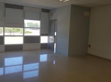 Oficina , Solidaridad · Oficina Plaza Paraiso