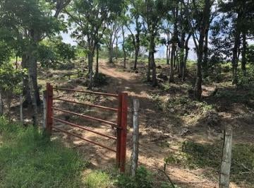 Terreno / Lote , San Fernando · Terreno 1000 m San Fernando, Chiapas