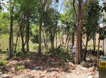Terreno / Lote , Tulum · Vendo Terreno en Tulum Alta Xona de Alta Plusvalia