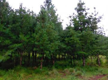 Terreno / Lote , Atemajac de Brizuela · Terreno Escriturado Listo Para Construir y Rentar Airnb