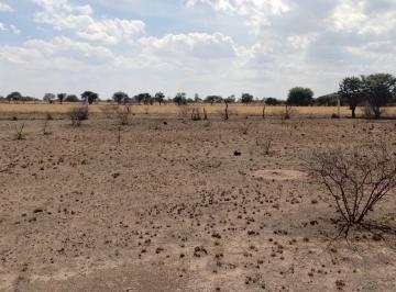 Terreno / Lote , El Llano · Terreno Campestre Para Construcción