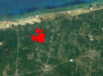 Rancho , Dzidzantún · Renta Terreno Energia Solar Eolica Uga Compatible 300 Ha
