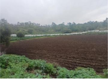 Terreno / Lote , Temamatla · Terreno Campestre en Venta – 500 m²