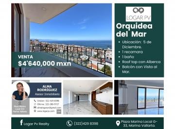 Departamento de 1 habitación, Puerto Vallarta · Hermoso Estudio Vista Al Mar.
