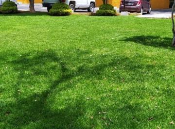 Departamento de 2 habitaciones, Coyoacán · Departamento en Unidad de Áreas Verdes