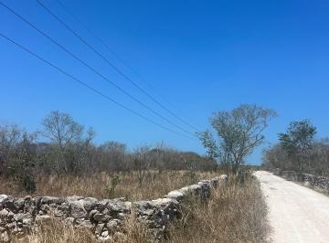 Terreno / Lote en Venta Pueblo Telchac · ¡Invierte en Yucatán!