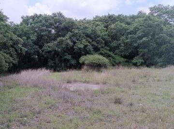Terreno / Lote , Amozoc · Terreno La Joya Haras del Bosque