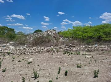 Terreno / Lote , Dzidzantún · ¡Oportunidad en Santa Clara, Yucatán! a Solo 6 Minutos de La Playa