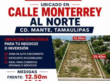 Terreno / Lote , El Mante · Terreno en Venta Calle Monterrey 605 Norte