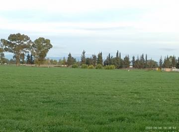 Rancho de 5 habitaciones, San Luis de la Paz · Oportunidad Agroindustrial y de Inversión