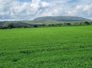 Rancho en Venta Rancho o rancheria Juan Martín · 10 Ha en Juan Martin, Celaya, Gto.