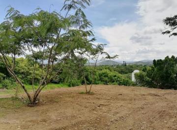 Terreno / Lote en Venta Ixtapan de la Sal · Hermoso Terreno Completamente Plano.