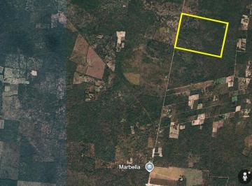 Terreno / Lote , Dzidzantún · Terreno en Venta de 60 Hectáreas en Dzidzantún