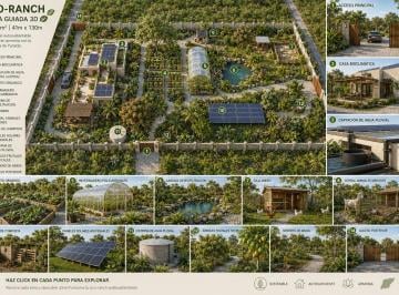 Terreno / Lote , Baca · Terreno 5,132 m² en Tixkuncheil, Baca — Doble Calle, 25 Min de Mérida
