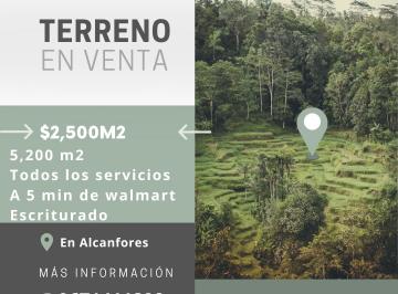 Terreno / Lote de 3 habitaciones, San Cristóbal de las Casas · Tu Propio Bosque Privado a Minutos del Centro: 5,200 m² Exclusivos en Alcanfores