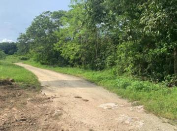 Terreno / Lote en Venta Ejido Pino Suárez · Terreno Campestre