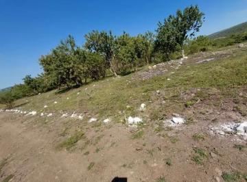 Terreno / Lote , Guadalajara · Terreno en Venta Huentitan El Alto