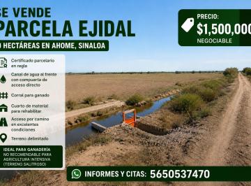Terreno / Lote , Ahome · Parcela de 9 Hectáreas con Certificado Parcelario | Ahome, Sinaloa