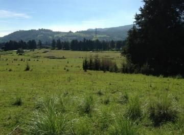 Terreno / Lote , Tlalpan · Venta de Terreno Campestre en Tlalpan Cdmx