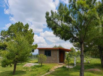 Casa de 2 habitaciones, Amealco de Bonfil · Cabaña Rústica en Amealco de Bonfil con Terreno Boscoso de 1 Hectárea