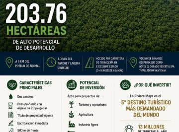 Terreno / Lote , Tulum · Terreno de 203.76 Hectáreas en Venta